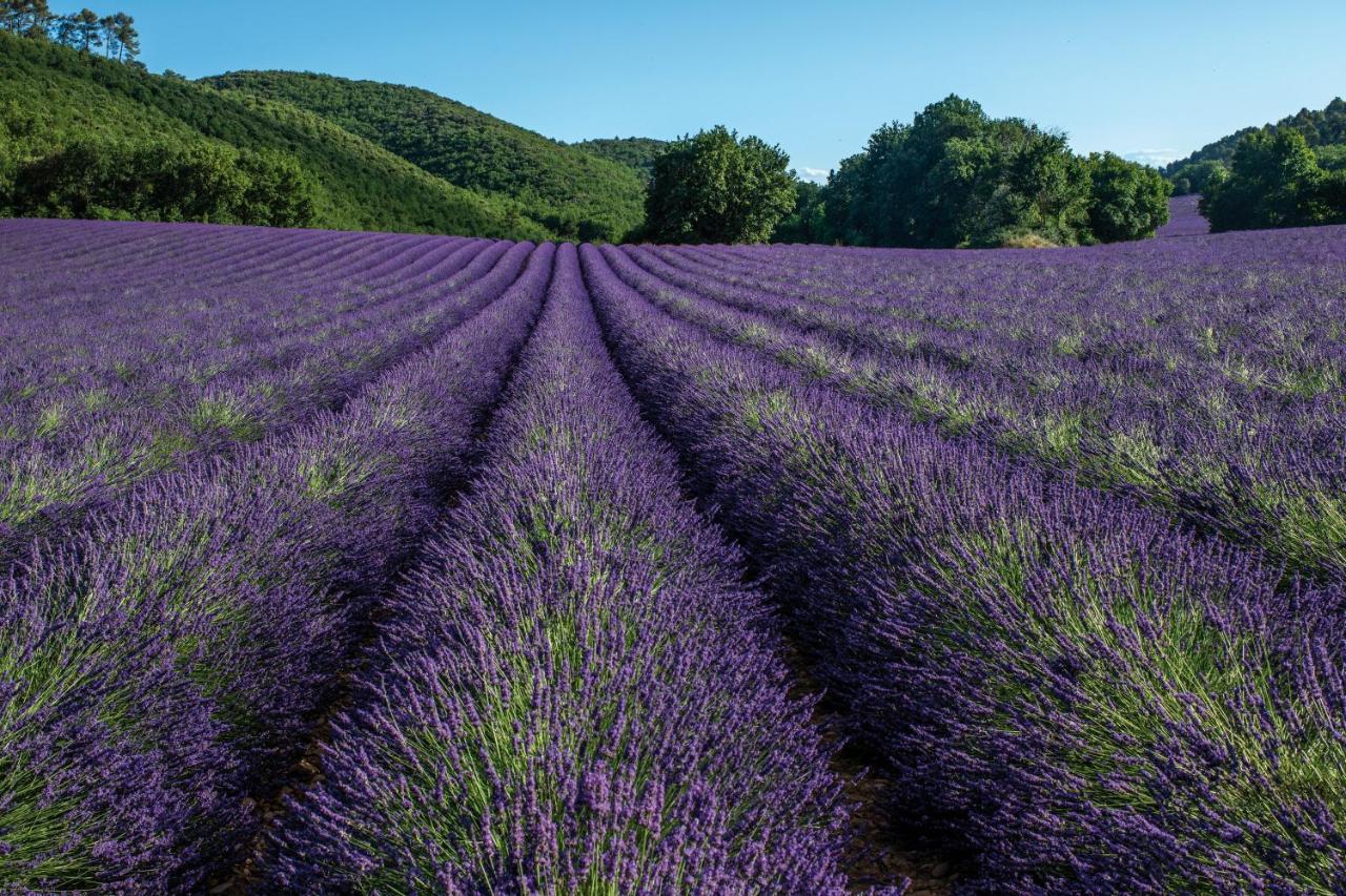 Club Vacances Bleues Domaine De Chateau Laval Greoux-les-Bains ภายนอก รูปภาพ
